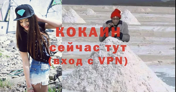 дживик Навашино