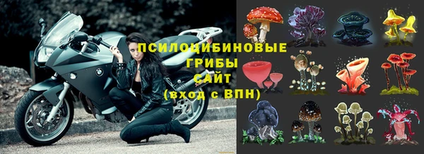 MDMA Premium VHQ Нефтегорск