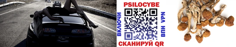 Галлюциногенные грибы Psilocybine cubensis  гидра зеркало  Новомичуринск 