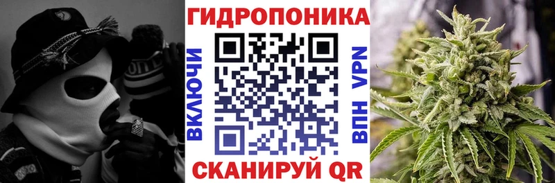 Каннабис конопля  наркота  Новомичуринск 